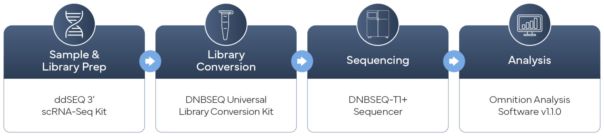 Bio-Rad_T1plus_scRNA App Note workflow