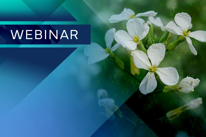 Disease-Resistance-Webinar