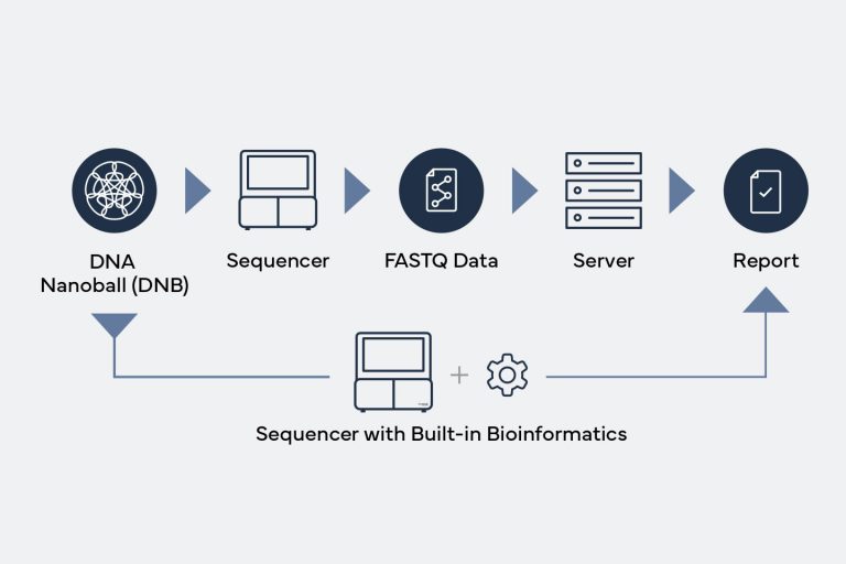 Portable DNA Sequencers