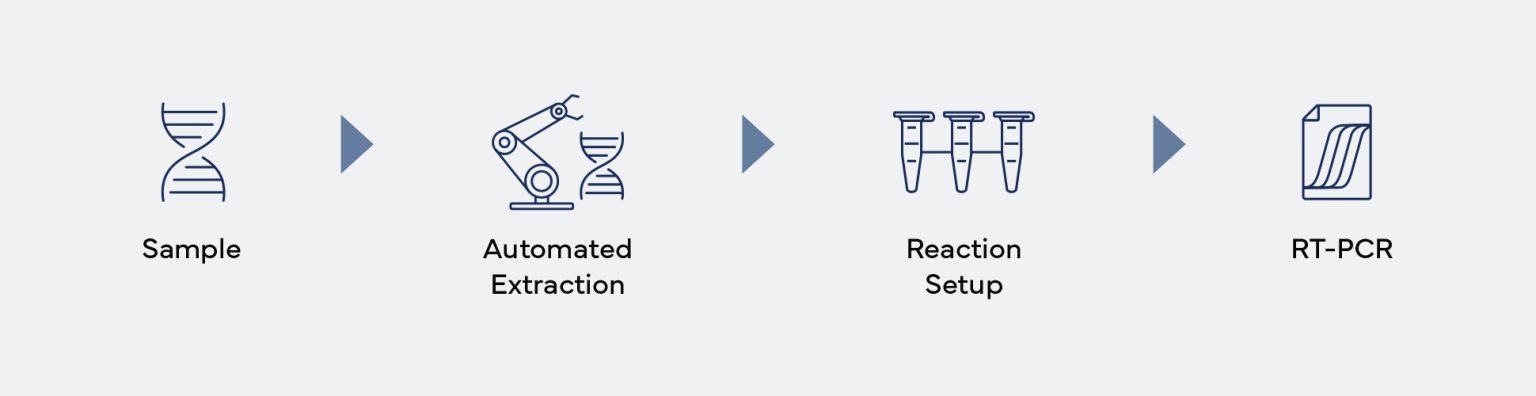 QIAcube workflow