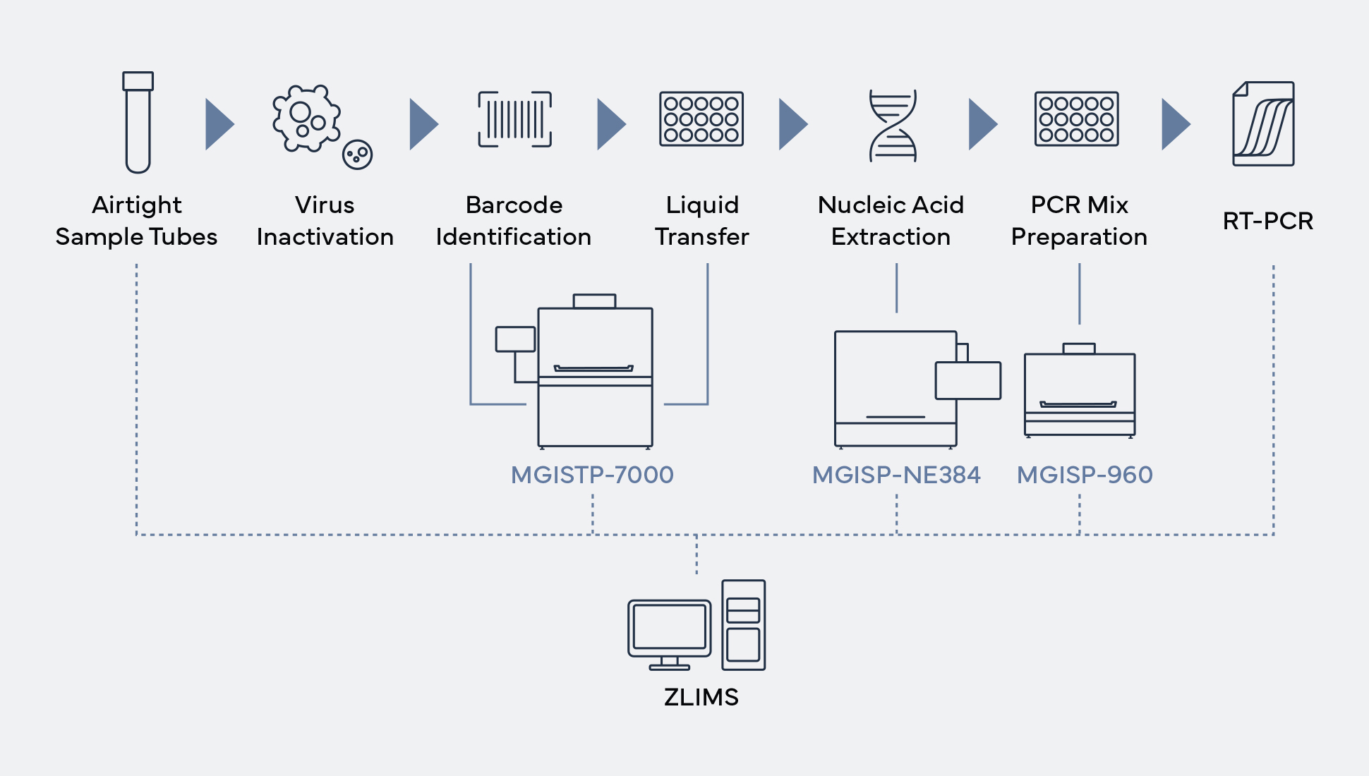 Nucleic Acid Extraction Workflow