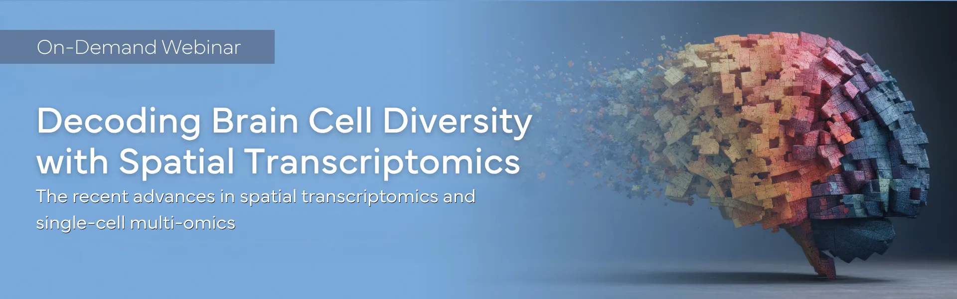 Decoding Brain Cell Diversity with Spatial