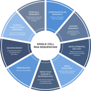 Picture of Single-Cell RNA Sequencing - Complete Genomics