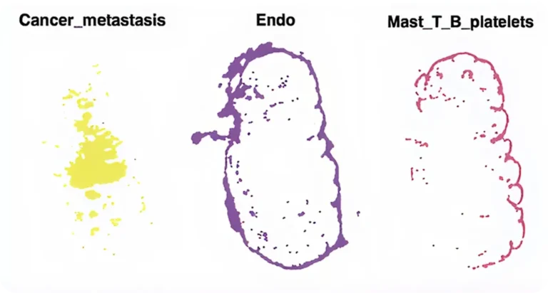 Stereo-CITE_protein_enriched_clusters_complete_genomics
