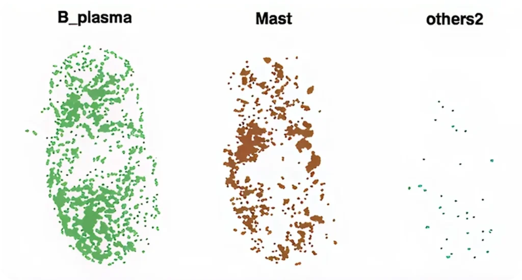 Stereo-CITE_transcriptome_enriched_clusters