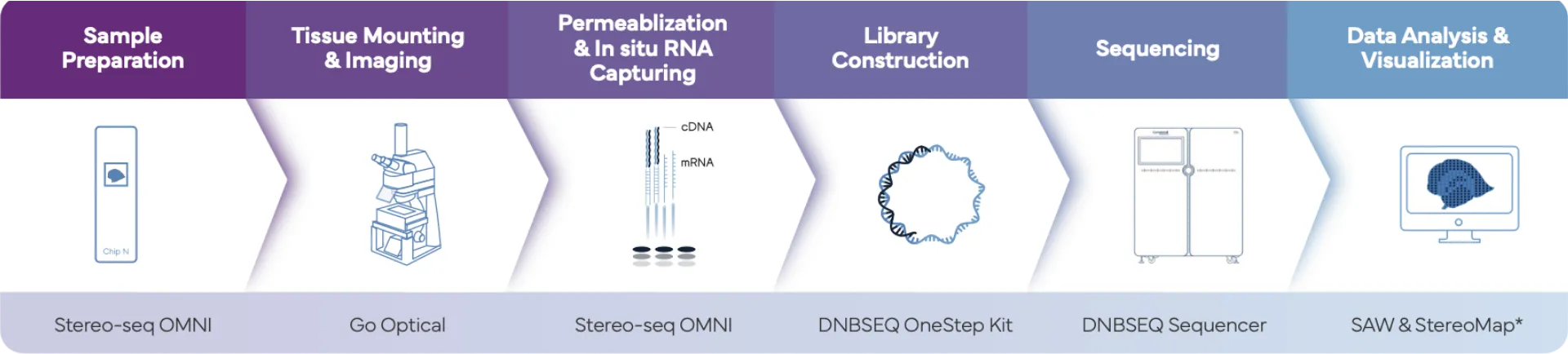 Stereo-Seq-OMNI-Workflow-Complete-genomics_V1.1