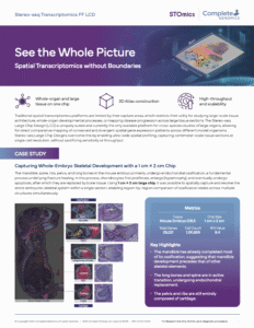 Stereo-seq LCD Brochure