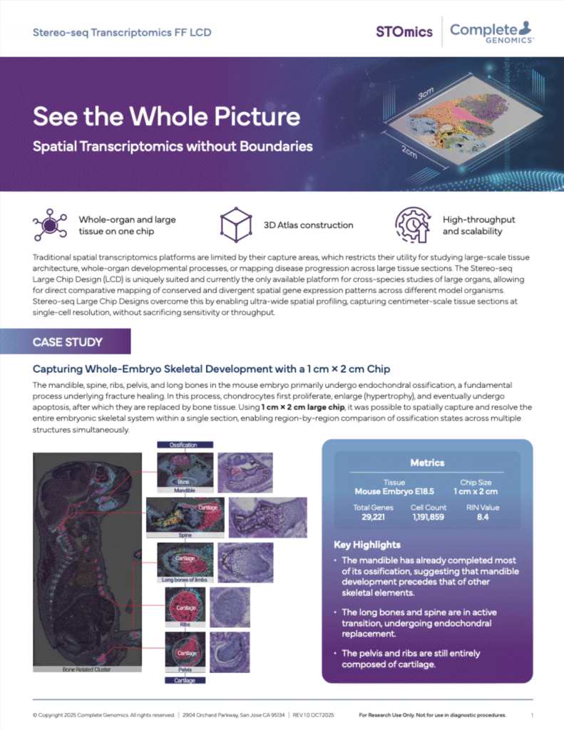 Stereo-seq LCD Brochure