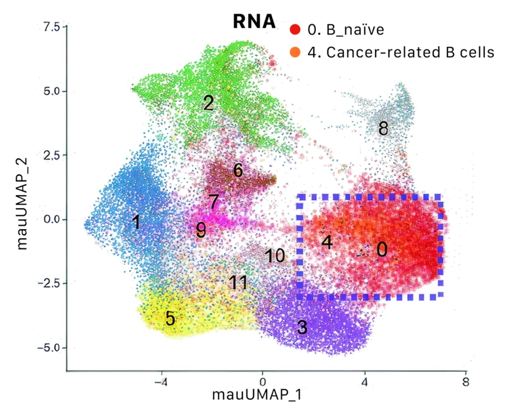 Stereo_CITE_integrated_RNA_protein_fig_1