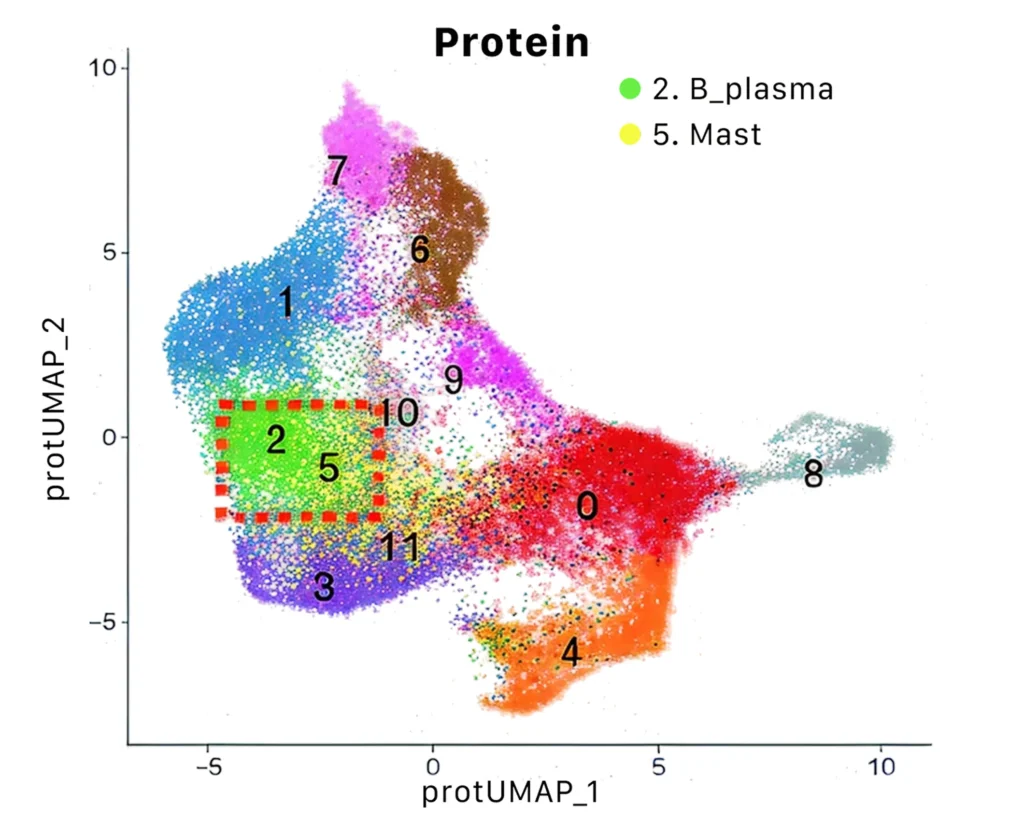 Stereo_CITE_integrated_RNA_protein_fig_2