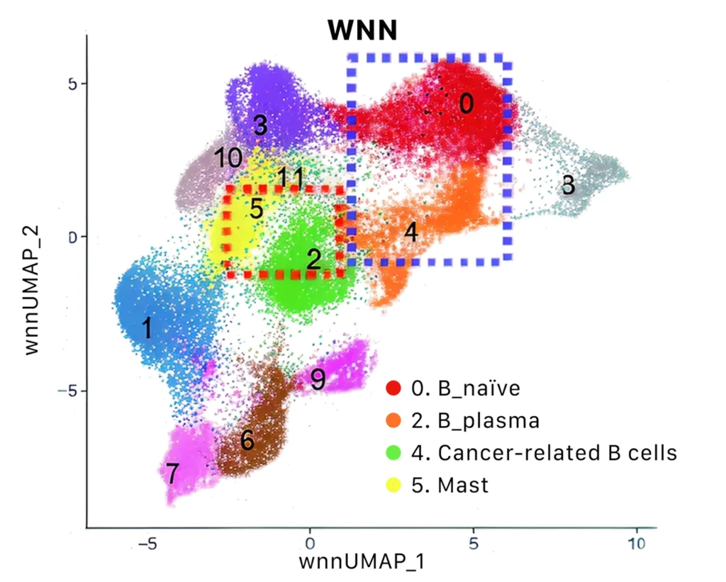 Stereo_CITE_integrated_RNA_protein_fig_3