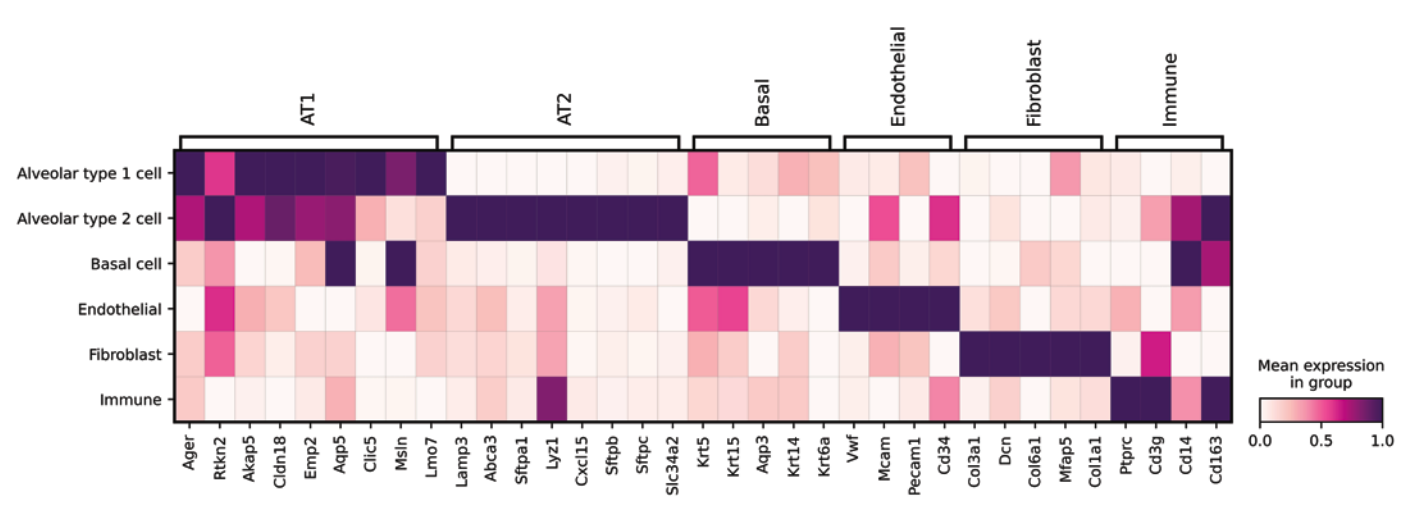 multicellular_stereo_seq_d