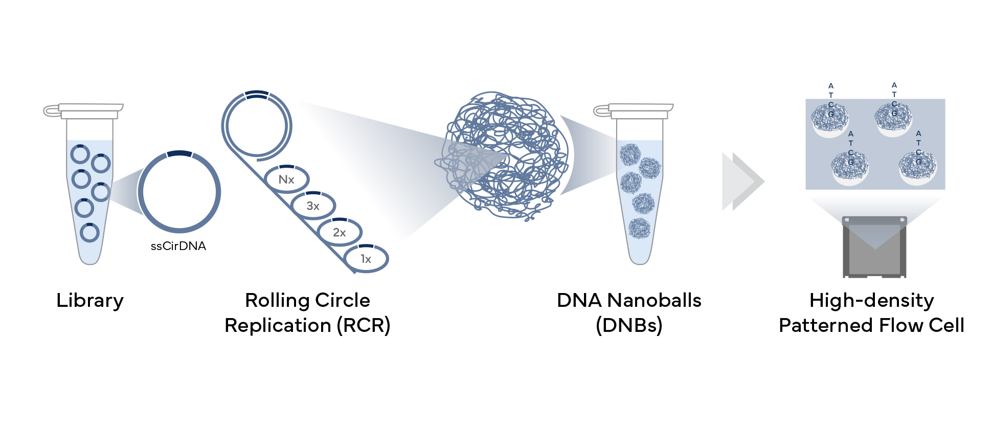 DNBSEQ-technology-workflow-1940x835 NGS Testings