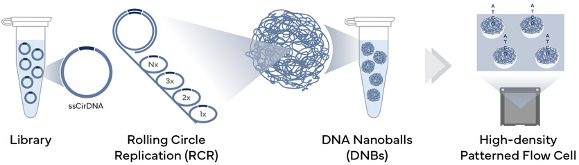 dnbseq-technology-T20-complete-genomics